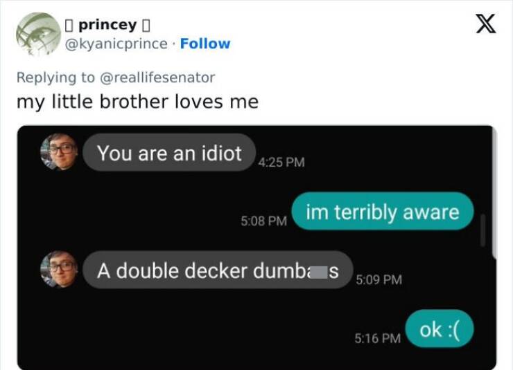 Gen Z Texting my little brother loves me You are an idiot 4:25 PM 5:08 PM A double decker dumbas