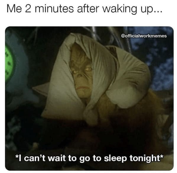 Grinch Memes Me 2 minutes after waking up... @officialworkmemes *I can't wait to go to sleep tonight*
