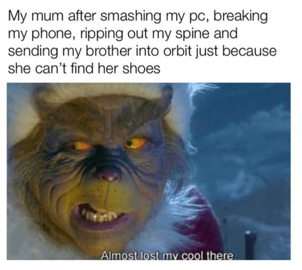 Grinch Memes My mum after smashing my pc, breaking my phone, ripping out my spine and sending my brother into orbit just because she can't find her shoes Almost lost my cool there.