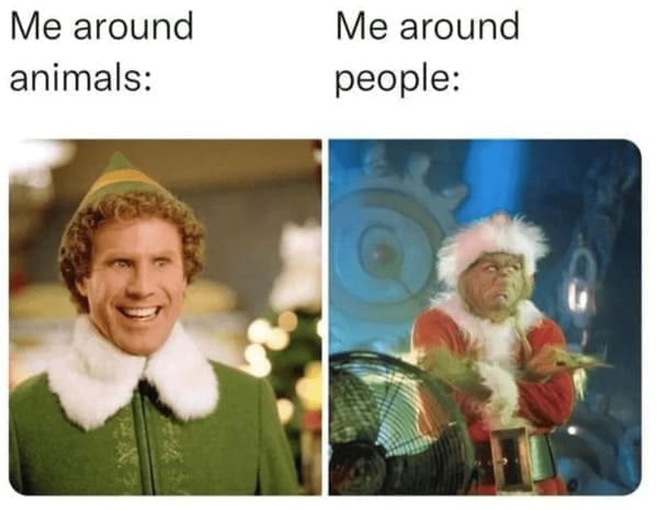 Grinch Memes Me around animals: Me around people: