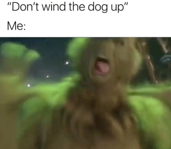 Grinch Memes "Don't wind the dog up" Me: