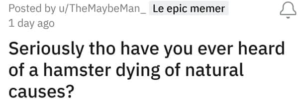 Seriously tho have you ever heard of a hamster dying of natural causes?