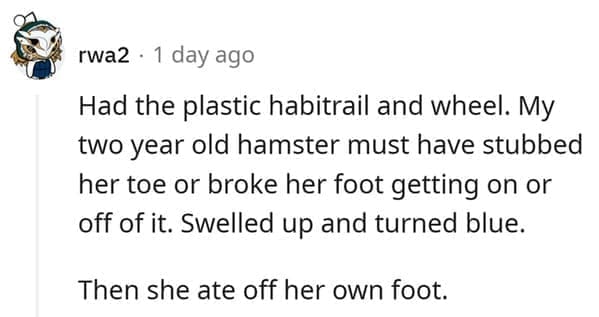 hamster death Had the plastic habitrail and wheel. My two year old hamster must have stubbed her toe or broke her foot getting on or off of it. Swelled up and turned blue. Then she ate off her own foot.