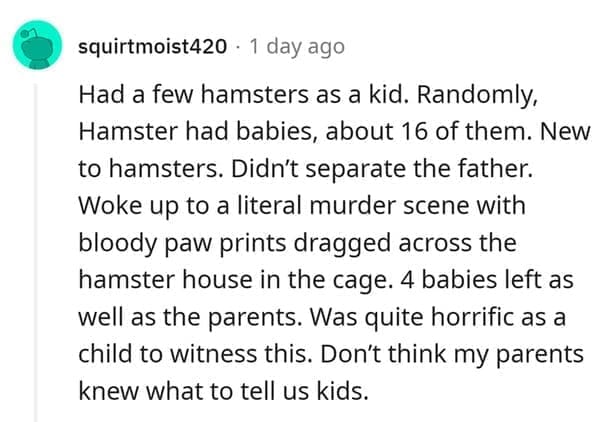 hamster death Had a few hamsters as a kid. Randomly, Hamster had babies, about 16 of them. New to hamsters. Didn't separate the father. Woke up to a literal murder scene with bloody paw prints dragged across the hamster house in the cage. 4 babies left as well as the parents. Was quite horrific as a child to witness this. Don't think my parents knew what to tell us kids.