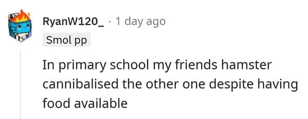hamster death In primary school my friends hamster cannibalised the other one despite having food available