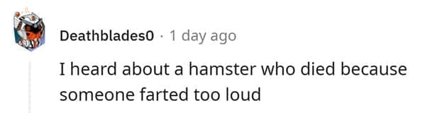 hamster death I heard about a hamster who died because someone farted too loud