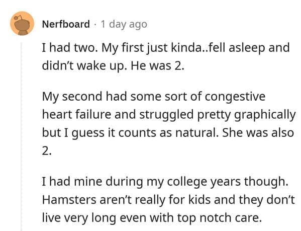 hamster death I had two. My first just kinda..fell asleep and didn't wake up. He was 2. My second had some sort of congestive heart failure and struggled pretty graphically but I guess it counts as natural. She was also I had mine during my college years though. Hamsters aren't really for kids and they don't live very long even with top notch care.