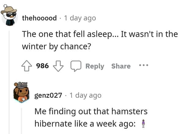 hamster death The one that fell asleep... It wasn't in the winter by chance? Me finding out that hamsters hibernate like a week ago: