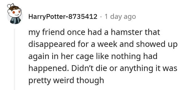 hamster death my friend once had a hamster that disappeared for a week and showed up again in her cage like nothing had happened. Didn't die or anything it was pretty weird though