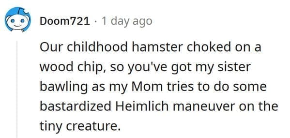 hamster death Our childhood hamster choked on a wood chip, so you've got my sister bawling as my Mom tries to do some bastardized Heimlich maneuver on the tiny creature.
