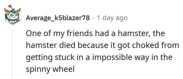 hamster death One of my friends had a hamster, the hamster died because it got choked from getting stuck in a impossible way in the spinny wheel