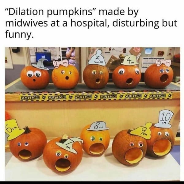 Memes for women "Dilation pumpkins" made by midwives at a hospital, disturbing but funny.