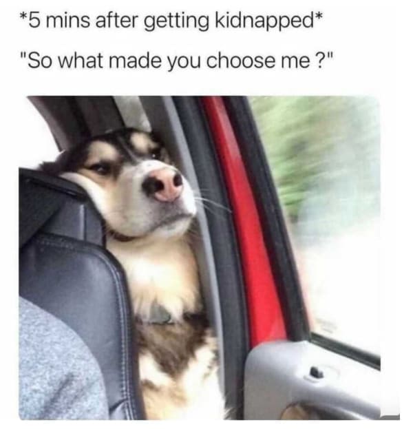 Memes for women *5 mins after getting kidnapped* "So what made you choose me?"