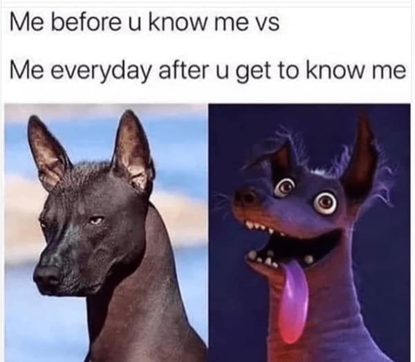 Memes for women Me before u know me vs Me everyday after u get to know me