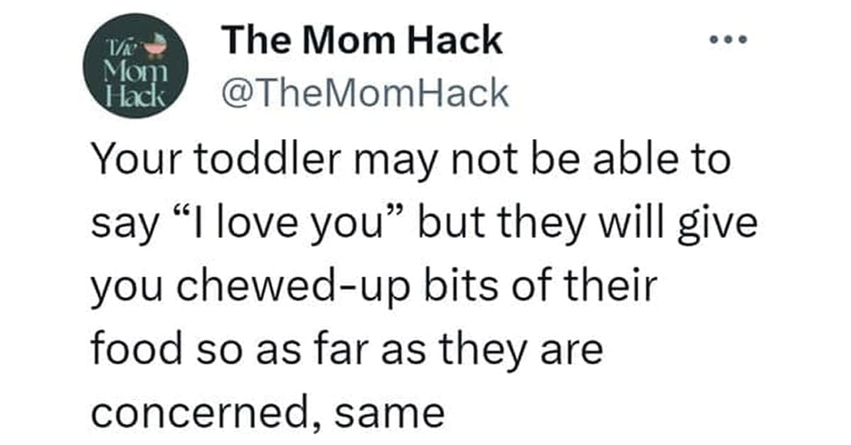 parenting memes, mom humor