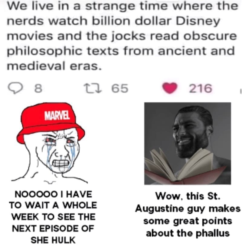 Philosophy memes We live in a strange time where the nerds watch billion dollar Disney movies and the jocks read obscure philosophic texts from ancient and medieval eras.