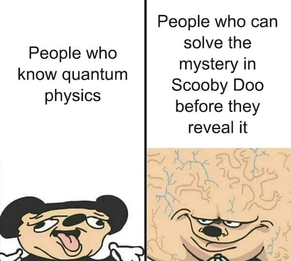 physics memes People who know quantum physics People who can solve the mystery in Scooby Doo before they reveal it