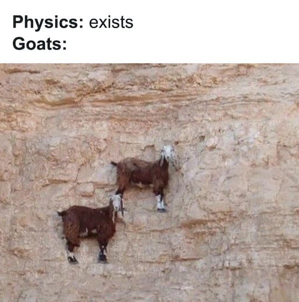 physics memes Physics: exists Goats: