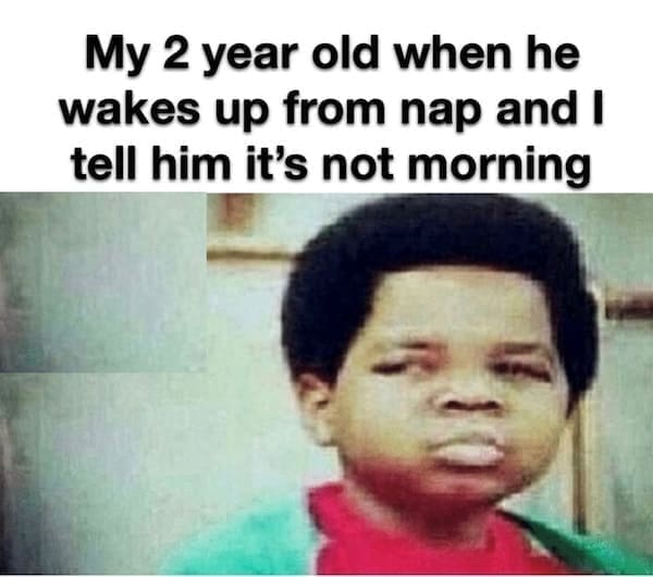Toddler memes My 2 year old when he wakes up from nap and I tell him it's not morning