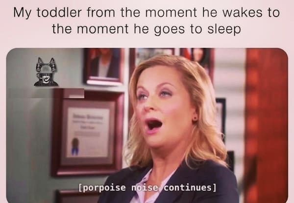 Toddler memes My toddler from the moment he wakes to the moment he goes to sleep [porpoise noise continues]