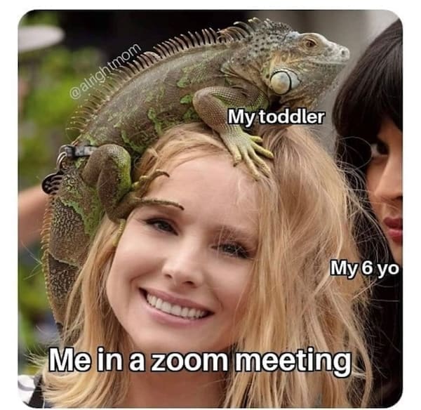 Toddler memes My toddler My 6 yo Me in a zoom meeting