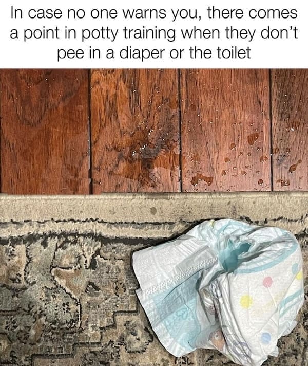 Toddler memes In case no one warns you, there comes a point in potty training when they don't pee in a diaper or the toilet