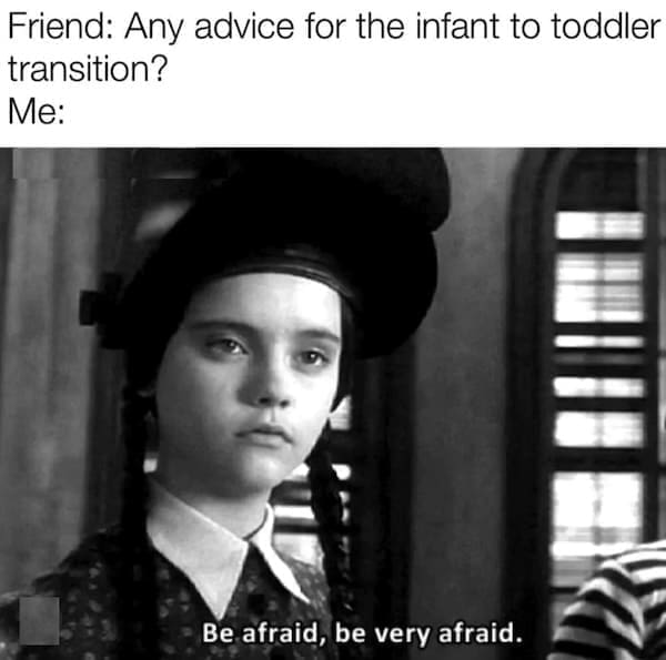 Toddler memes Friend: Any advice for the infant to toddler transition? Me: Be afraid, be very afraid.