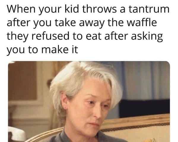 Toddler memes When your kid throws a tantrum after you take away the waffle they refused to eat after asking you to make it