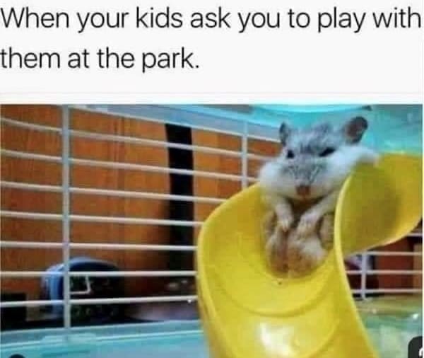 Toddler memes When your kids ask you to play with them at the park.