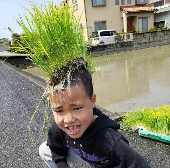 Weird Hats grass on head