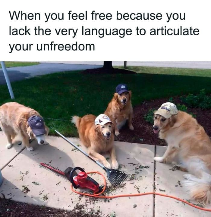 Weird Hats 