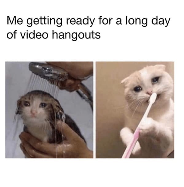 Work from home memes Me getting ready for a long day of video hangouts