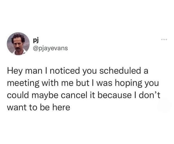 Work from home memes Hey man I noticed you scheduled a meeting with me but I was hoping you could maybe cancel it because I don't want to be here
