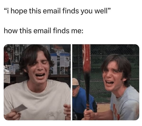 Work from home memes "i hope this email finds you well" how this email finds me: