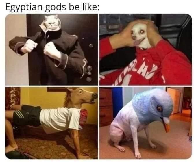 funny pics Egyptian gods be like: