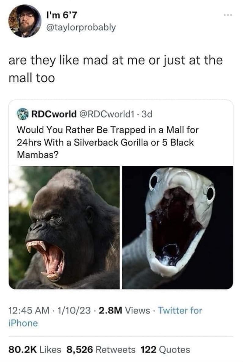 classic memes, vintage memes