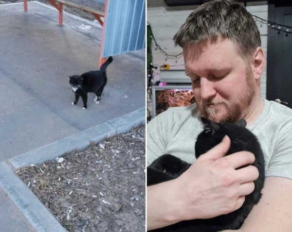 adopted animals before and after, forever homes