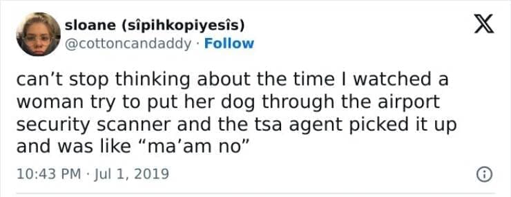 can't stop thinking about the time I watched a woman try to put her dog through the airport security scanner and the tsa agent picked it up and was like "ma'am no"