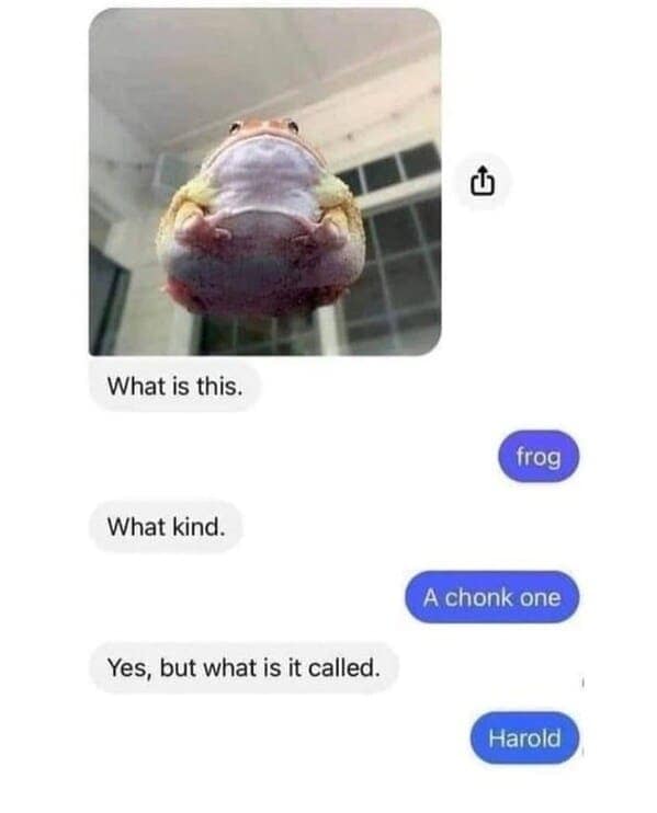 animal memes, wildlife humor