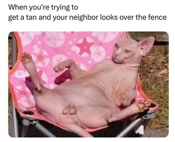 animal memes, wildlife humor