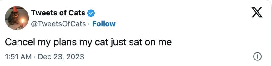 animal memes, wildlife humor