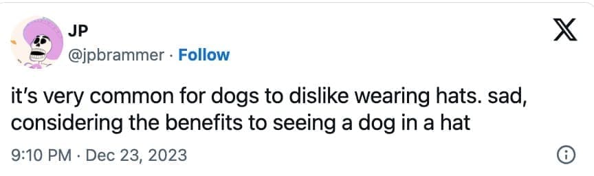 animal memes, wildlife humor