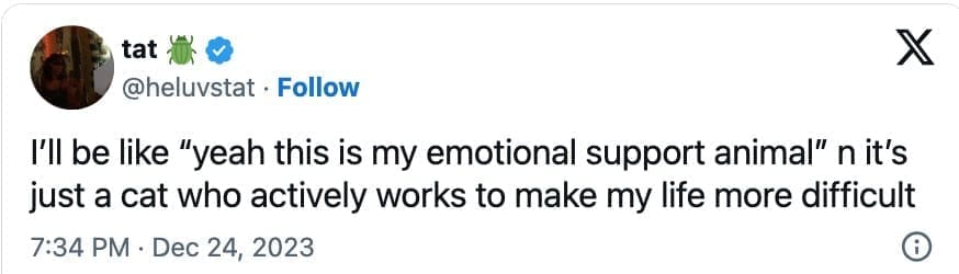 animal memes, wildlife humor