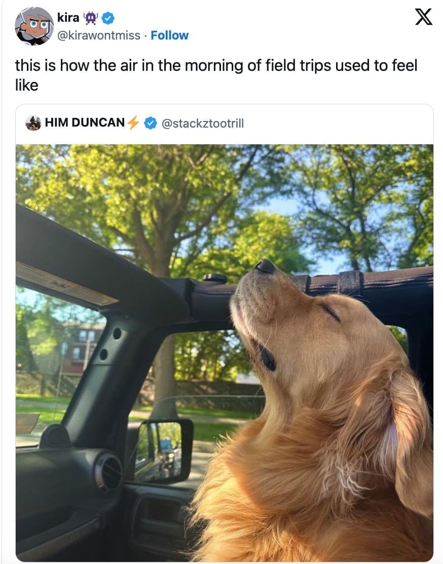 animal memes, wildlife humor