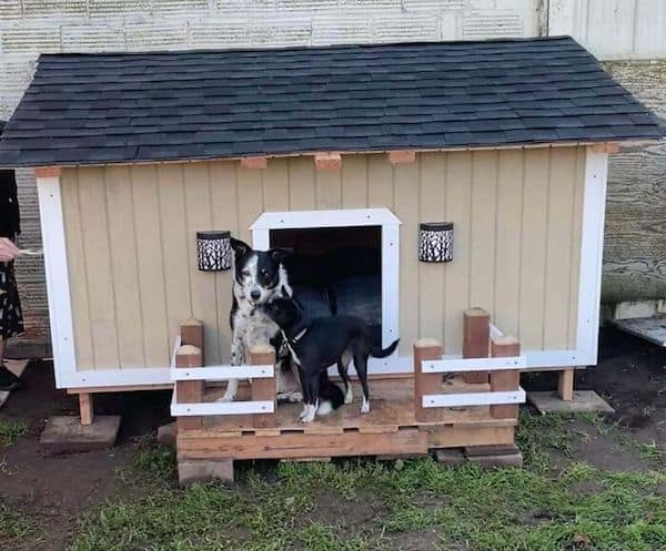 awesome dog houses, doggy luxury