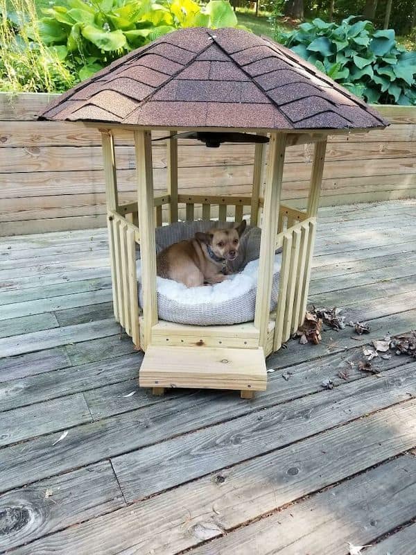 awesome dog houses, doggy luxury