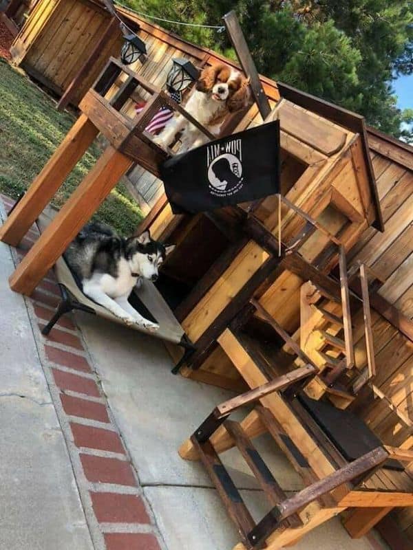 awesome dog houses, doggy luxury