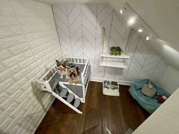 awesome dog houses, doggy luxury