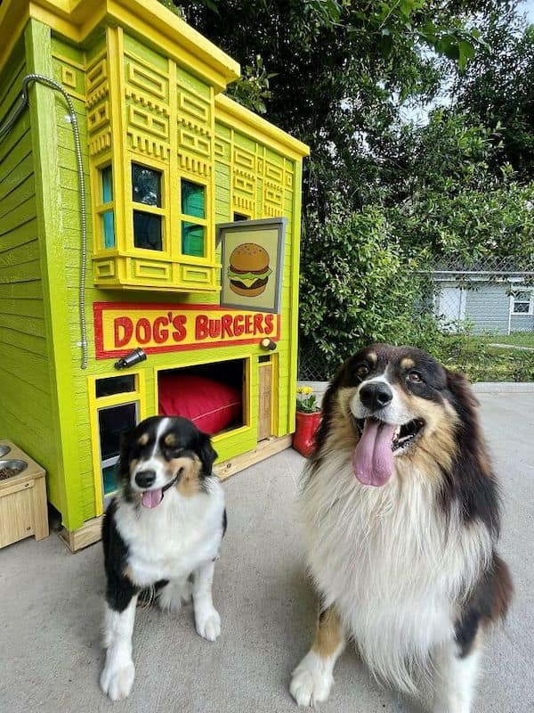 awesome dog houses, doggy luxury