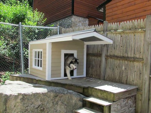 awesome dog houses, doggy luxury